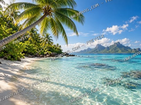 Palm Cove mounted canvas preview