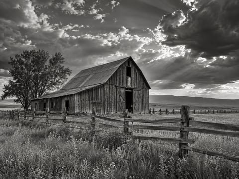 The Old Home Place · Monochrome mounted canvas preview