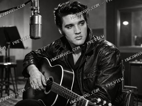 Elvis · Studio Silence mounted canvas preview