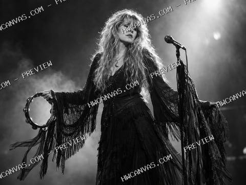 Stevie Nicks · Silver Moon mounted canvas preview