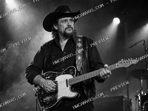 Waylon Jennings · Outlaw Shadows mounted canvas preview