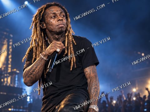 Lil Wayne · Mic & Motion mounted canvas preview