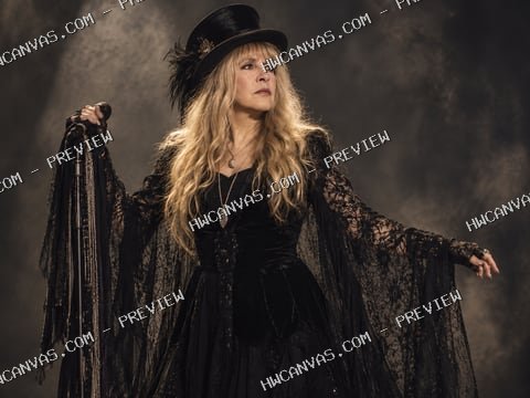 Stevie Nicks · Velvet & Lace mounted canvas preview