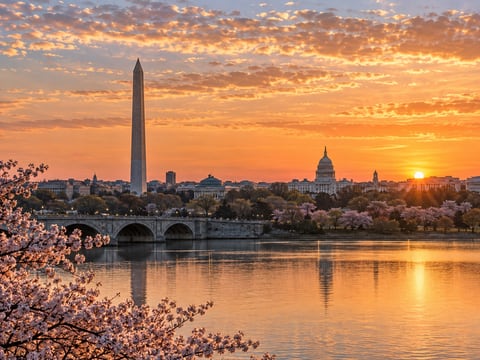 Washington, D.C. · Skyline mounted canvas preview